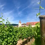 Munsch Restaurant & Wellness, Colmar Nord - Haut-koenigsbourg
