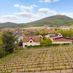 Munsch Restaurant & Wellness, Colmar Nord - Haut-koenigsbourg 3* Saint-Hippolyte (Haut-Rhin)