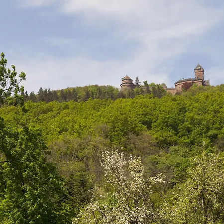 Munsch Restaurant & Wellness, Colmar Nord - Haut-koenigsbourg Ξενοδοχείο Saint-Hippolyte (Haut-Rhin)