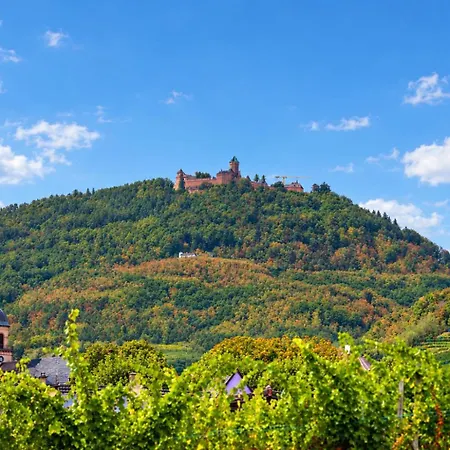 Ξενοδοχείο Munsch Restaurant & Wellness, Colmar Nord - Haut-koenigsbourg