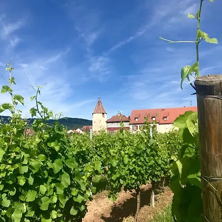 Munsch Restaurant&wellness, Colmar Nord - Haut-koenigsbourg
