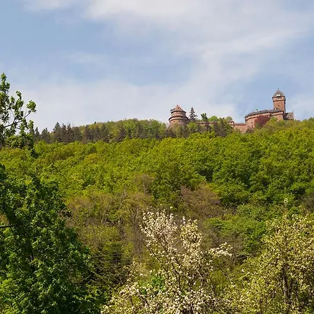 호텔 Munsch Restaurant & Wellness, Colmar Nord - Haut-koenigsbourg 상띠뽈리뜨