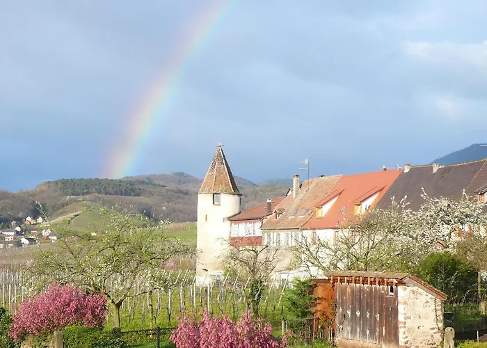Hotel Munsch Restaurant & Wellness, Colmar Nord - Haut-koenigsbourg Saint-Hippolyte (Haut-Rhin)
