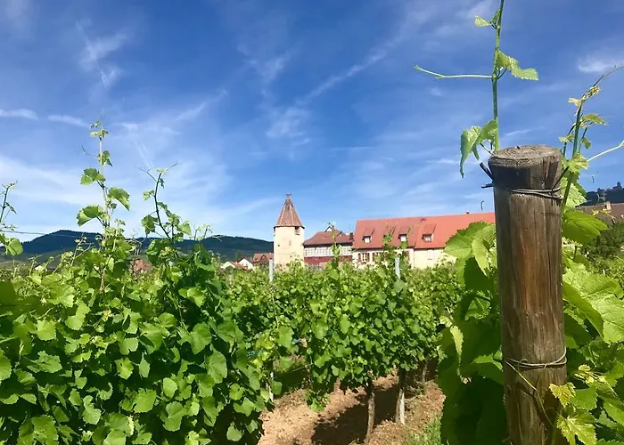 Munsch Restaurant & Wellness, Colmar Nord - Haut-koenigsbourg