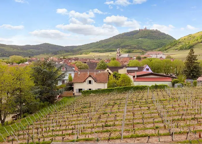 Munsch Restaurant & Wellness, Colmar Nord - Haut-koenigsbourg 3* סנט היפולייט